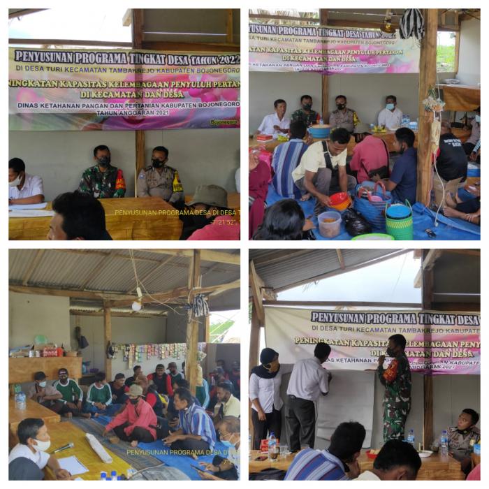 Penyusunan Programa Penyuluhan Pertanian Desa Turi Kecamatan Tambakrejo Kabupaten Bojonegoro Jawa Timur