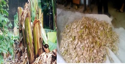 MENINGKATKAN PRODUKTIVITAS TERNAK AYAM MELALUI PROBIOTIK