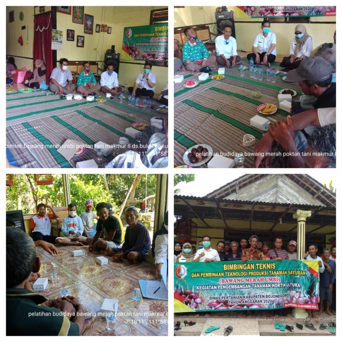 Bimbingan teknis dan pembinaan teknologi produksi tanaman sayuran (bawang merah) di Kecamatan Sugihwaras Kabupaten Bojonegoro