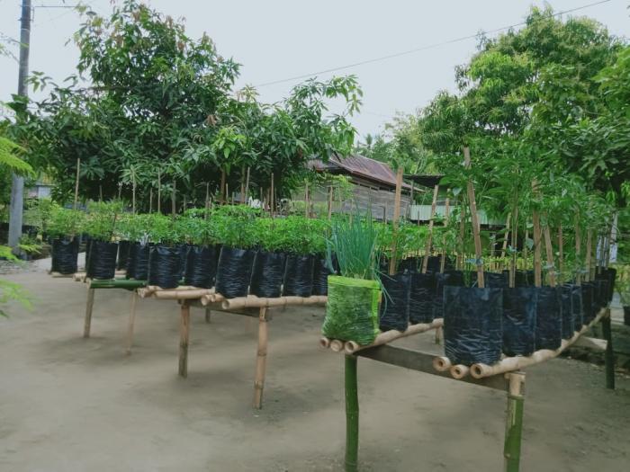 PEMANFAATAN PEKARANGAN  DI KELOMPOK WANITA TANI PADAIDI DIDESA GANRA KECAMATAN GANRA