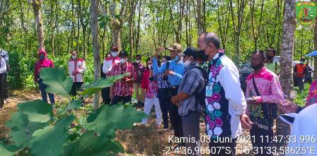 kegiatan kaji banding dan silaturahmi BPP PAJU EPAT kabupaten Barito timur KALTENG ke BPP kembang kuning kabupaten Tabalong Kalimantan Selatan 