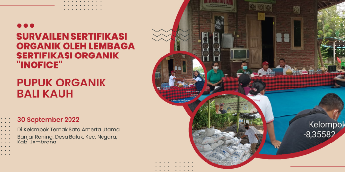  Lulus Survailen Sertifikasi Organik Tahap Ke 3..kelompok Ternak Sato Amerta Utama Komitmen Untuk Konsisten Dalam Menjaga Kualitas Pupuk Organik Bali Kauh. 