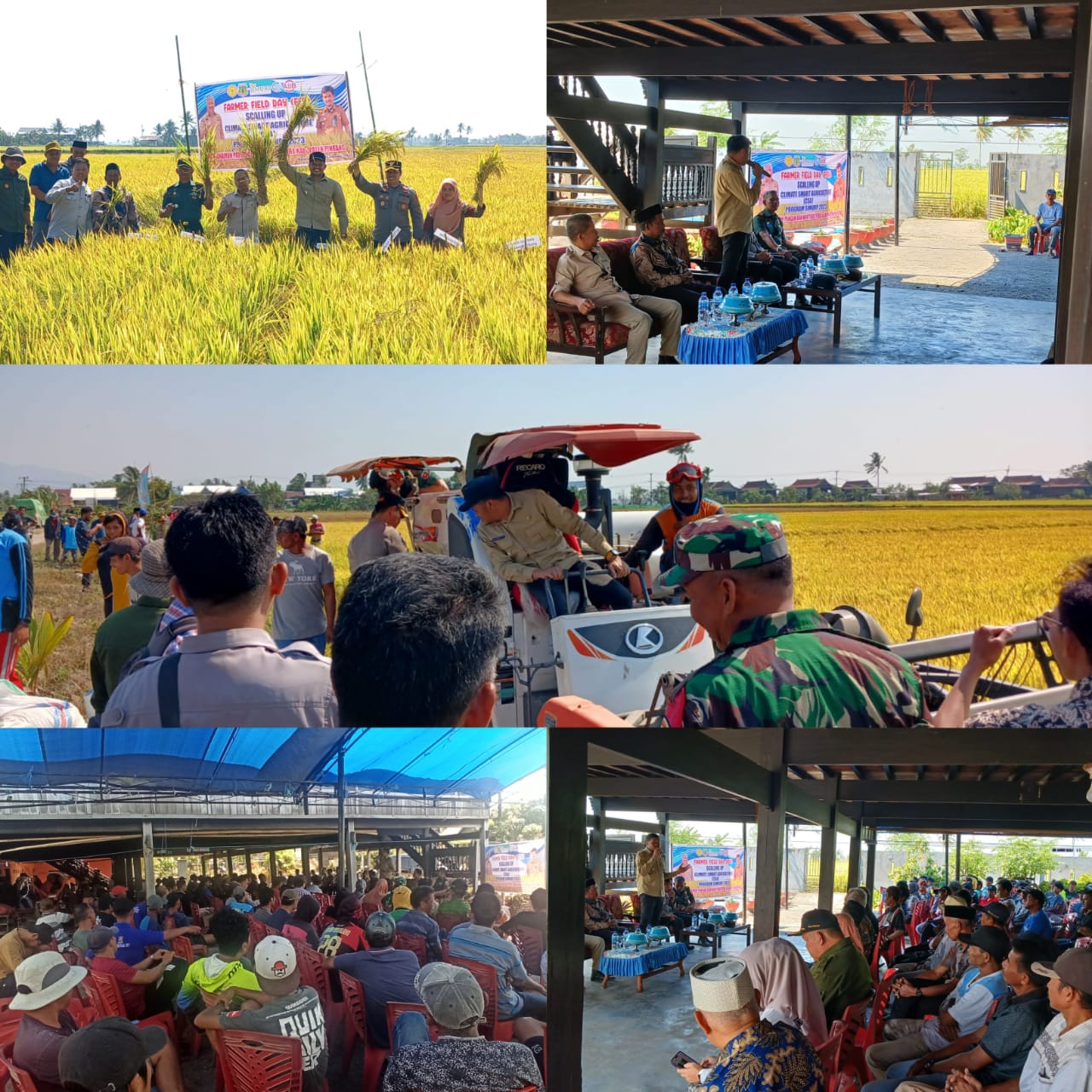 Terbukti Penerapan Teknologi CSA di Kecamatan Watang Sawitto, Meningkatkan Produksi 