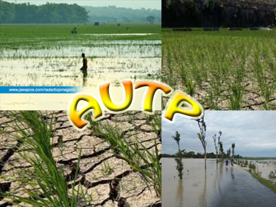 AUTP Membantu Petani Bangkit Kembali