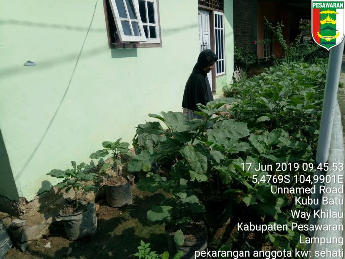 Pemanfaatan Lahan Pekarangan Rumah