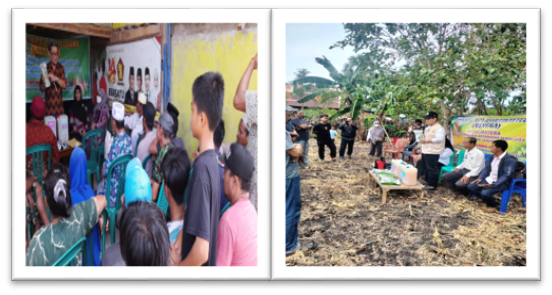 IP3OPT Wilayah IV Maros Melakukan Gerdal OPT Hortikultura Pada Komoditi Mangga di Dua Desa di Kecamatan Tamalatea