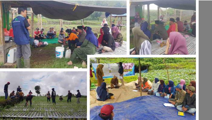 SL-GAP Bawang Putih Kecamatan Uluere