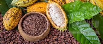 KUR BAGI PETANI HORTIKULTURA TAHUN 2020