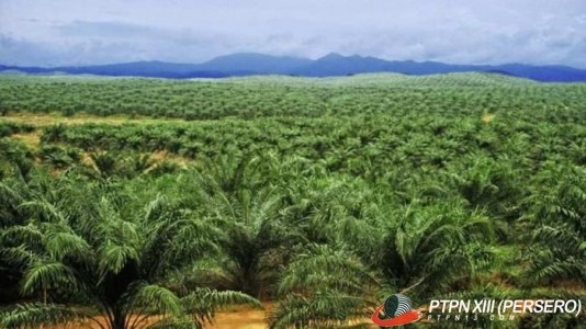 Konsep ASUH (Aman, Sehat, Utuh, dan Halal) pada Pangan Asal Hewan