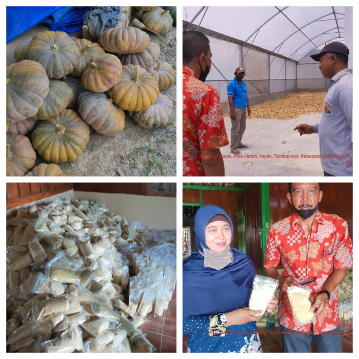 Tepung Waluh Dari Desa Napis Kecamatan Tambakrejo Kabupaten Bojonegoro Jawa Timur