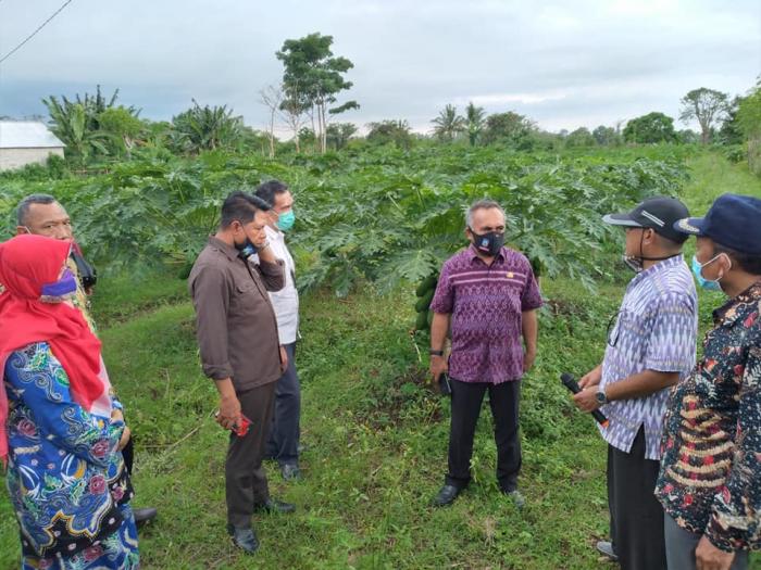 KTNA NTB Akan Mengembangan Agrowisata Berbasis Pertanian Terpadu di Karang Bayan