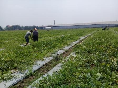 Tindakan Konservasi tanah dan air untuk mengatasi banjir dan kekeringan