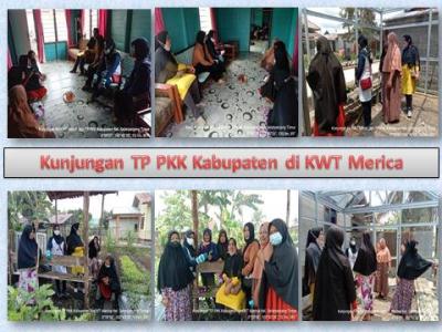 Kunjungan TP PKK Kabupaten di KWT Merica