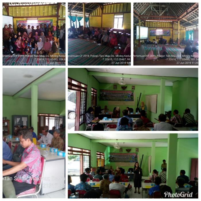 KEGIATAN PENATAAN AGRIBISNIS MELALUI COOPERATIVE FARMING  DI KABUPATEN BOJONEGORO TAHUN 2019