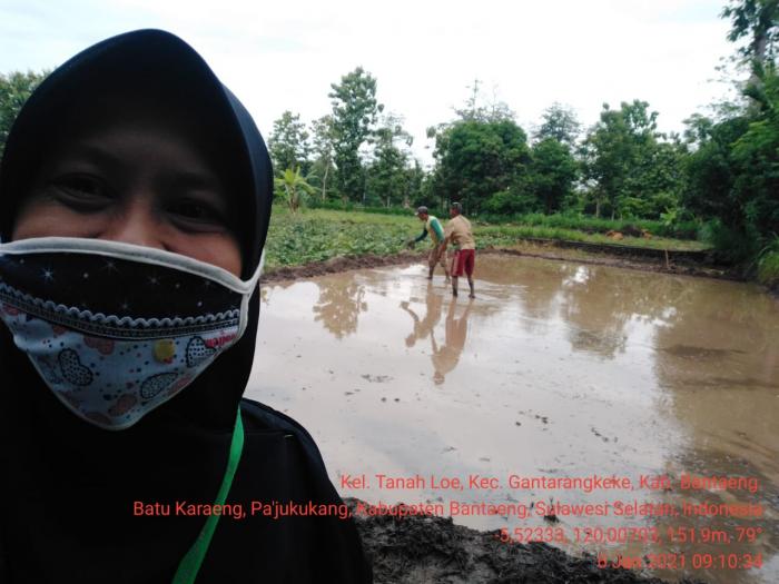 Pemantauan Persiapan Pesemaian Padi di KT. Passangarrang 1 Kel.Tanah Loe Kec.Gantarangkeke Kab.Bantaeng