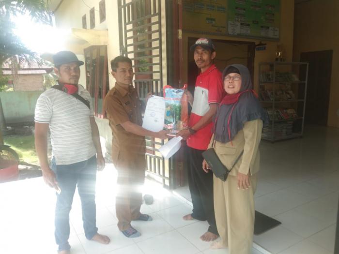 Cara menanam jagung dengan metode tanpa olah tanah