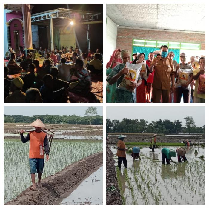 Petani Bareng Sugihwaras Mulai Tanam Padi Bantuan PPM KPM