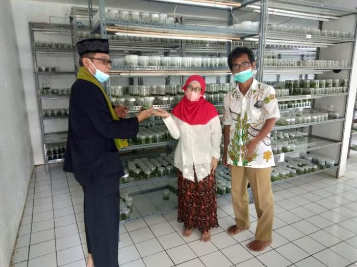 KOOD Kota Depok : P4S Diharapkan Menjadi Sarana Belajar Pertanian Masyarakat