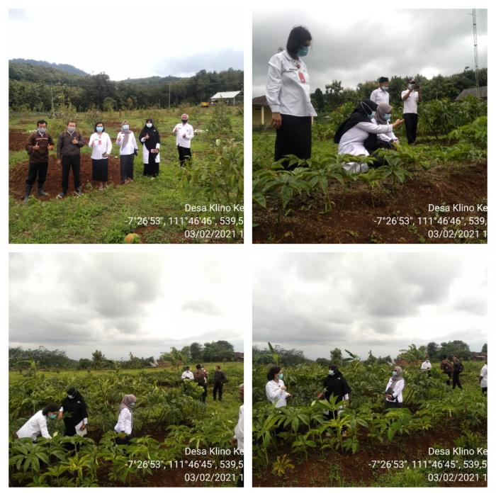 Monev Desa Agrowisata Desa Klino Kecamatan Sekar