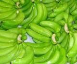PENANGANAN  PASCA PANEN BUAH PISANG