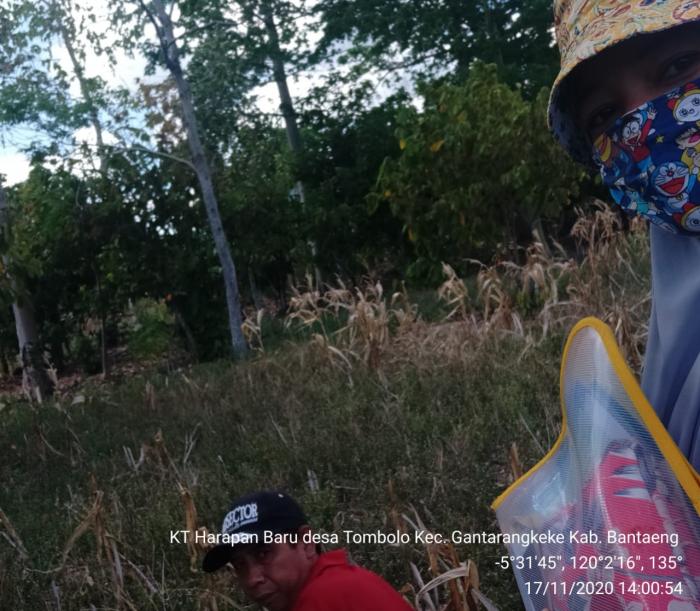 Kunjungan Pada Lahan Kering Kelompok Tani Harapan Baru Desa Tombolo Kec.Gantarangkeke Kab.Bantaeng