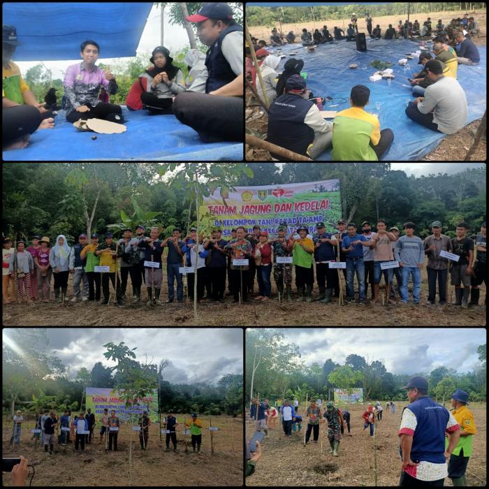 Tanam Jagung dan Kedelai Didesa Kinarum Kec. Upau