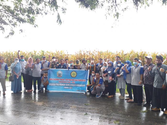 Orientasi Pengembangan Jagung Berbasis Kawasan di Lombok Timur, NTB