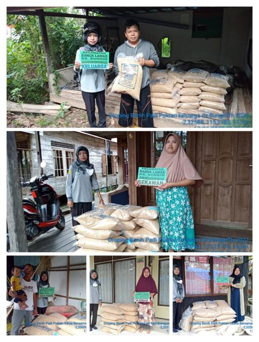Pengawalan Penyuluh Pertanian Droping Bantuan Benih Padi  Di Desa Bungin Kec.banua Lawas