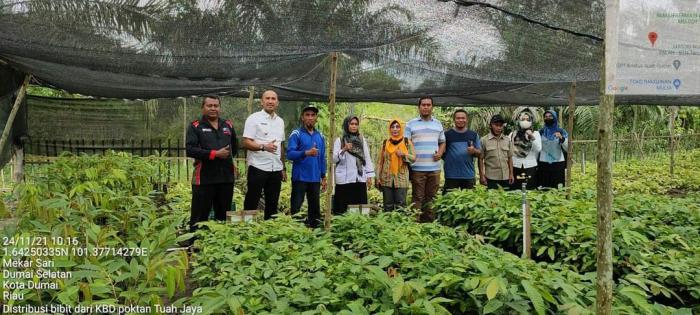 LESTARIKAN LINGKUNGAN, KEBUN BIBIT DESA (KBD) KELOMPOK TANI TUAH JAYA  KELURAHAN MEKAR SARI KECAMATAN DUMAI SELATAN   SALURKAN BIBIT KEPADA MASYARAKAT 