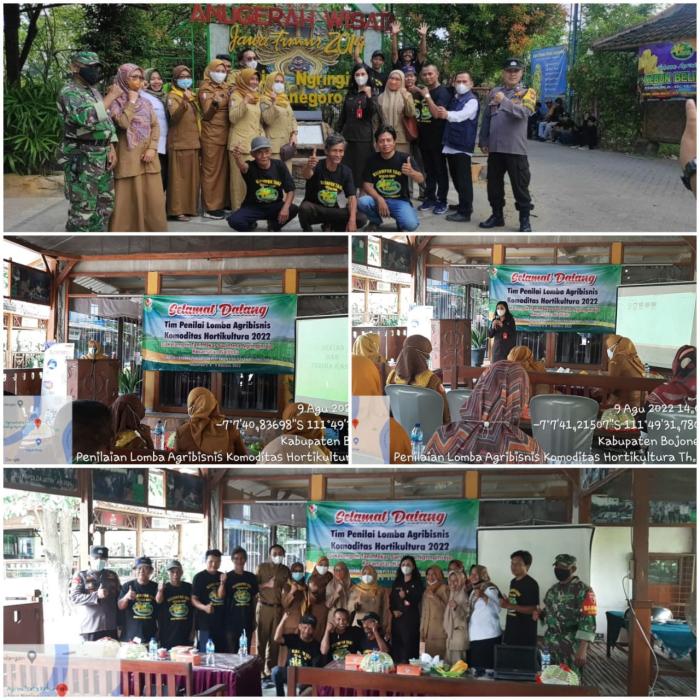 Penilaian Lapangan Lomba Agribisnis Komoditas Hortikultura (belimbing) Tahun 2022
