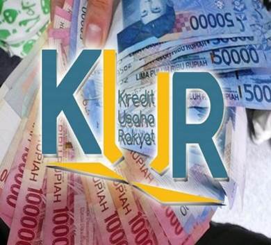 Persiapan Lahan untuk Peremajaan (Replanting) Tanaman Teh
