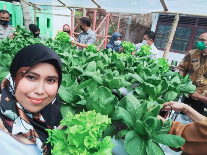 PANEN HIDROPONIK DI KELOMPOK WANITA TANI AMANAH KELURAHAN LEMBO KECAMATAN TALLO