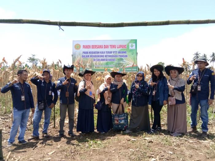PTT JAGUNG