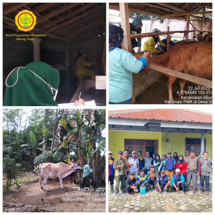 VAKSINASI PENCEGAHAN PENYAKIT MULUT DAN KUKU (PMK) DI KEC. ABUNG TIMUR, KAB. LAMPUNG UTARA