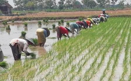 Mengenal Metode Demonstrasi berdasar jenis Materi