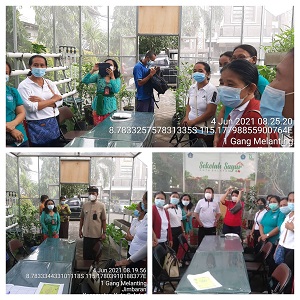 SEKOLAH SAYUR DI KANTOR CAMAT KUTA SELATAN