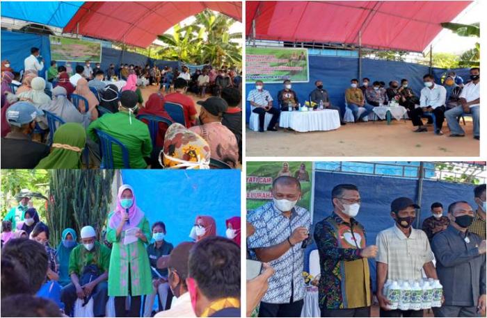 PETANI  DI AMOHALO KELURAHAN BARUGA KECAMATAN BARUGA   KOTA  KENDARI TERIMA KARTU TANI DAN  BANTUAN PUPUK HAYATI CAIR BIO KONVERSI
