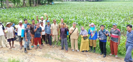 Gerdal Pratanam OPT Tikus di Desa Rantau Karau Tengah Kec. Sungai Pandan Kab. HSU