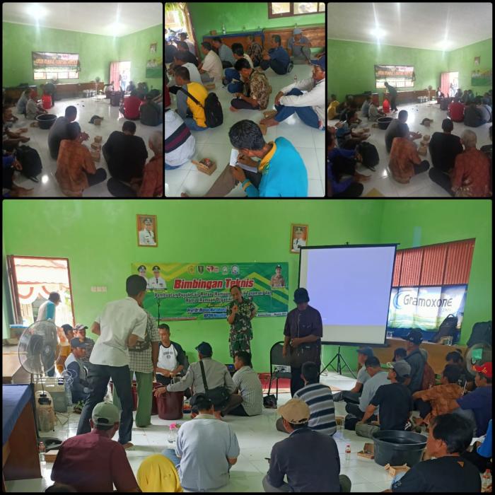 Pelatihan Pembuatan Pupuk Organik Cair ROTAN dan ROMA Bagi Petani