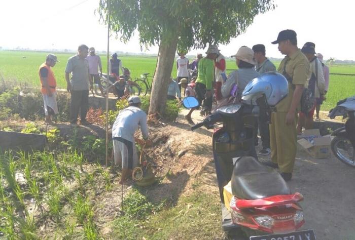 Penggendalian Serangan Hama Tikus Dengan Fumigasi  Di Kelompok Tani Tani Luhur Desa Munggut Kecamatan Padas Kabupaten Ngawi