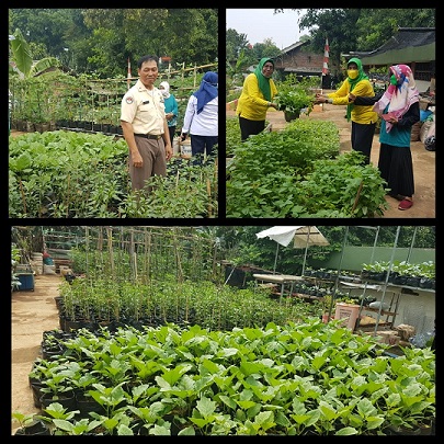 KREATIF, P2L BUNGUR CIJANTUNG JAKARTA TIMUR , MAMPU MENYULAP FASILITAS TANDON AIR KOPASSUS MENJADI LAHAN PRODUKTIF URBAN FARMING