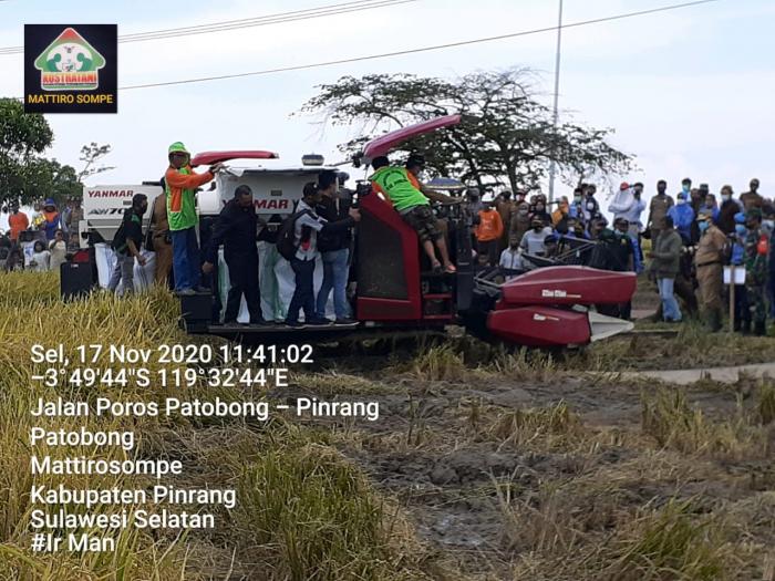 Pesta Panen Gubernur di Kab. Pinrang