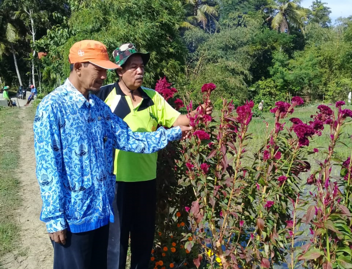 Euforia Menanam Refugia Di Desa Klirong