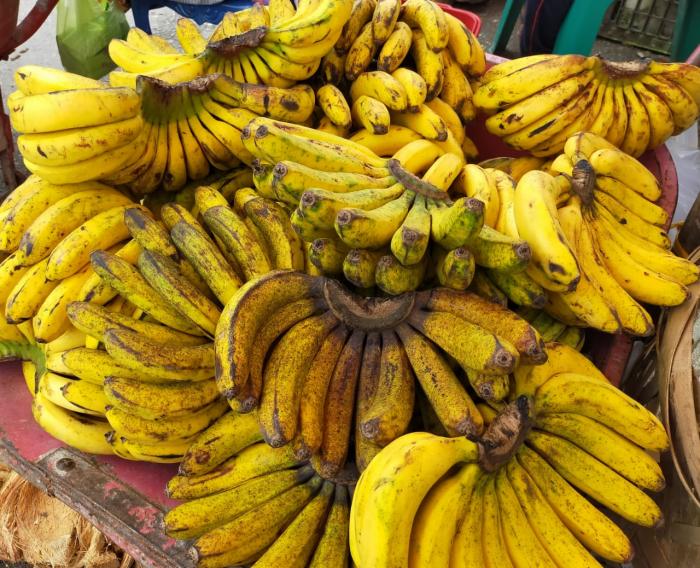Industri Pengolahan Buah Pisang