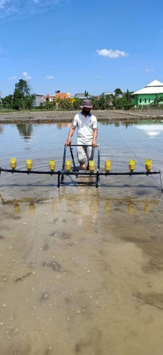 Tanam Padi Sistem Tabela
