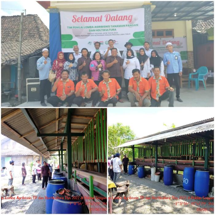 Penilaian Lapangan Lomba Agribisnis Di Kelompok Tani Sengon Agung Ii Desa Sengon, Kecamatan Ngambon, Kabupaten Bojonegoro