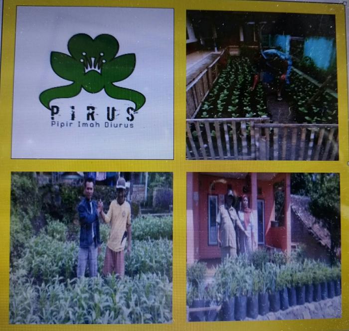 BUDIDAYA SAYURAN DI POLYBAG DENGAN METODE â€œPIRUSâ€ ( Pipir Imah Diurus )