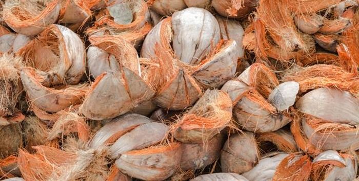 Pemanfaatan Sabut Kelapa untuk Pertanian