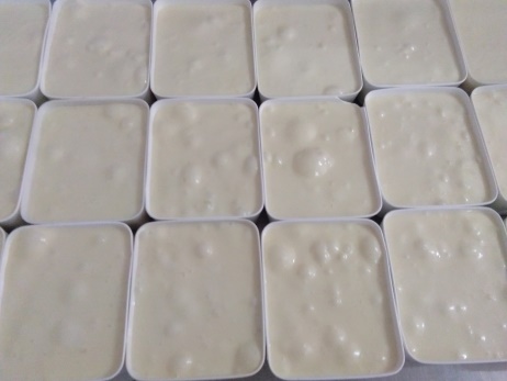 CARA PEMBUATAN KEJU MOZARELLA
