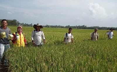 GERAKAN PENGENDALIAN (GERDAL ) HAMA WERENG